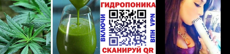 Canna-Cookies конопля Кадников
