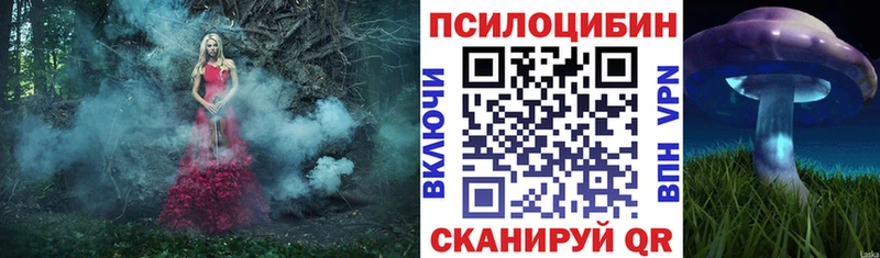 Галлюциногенные грибы мухоморы  даркнет сайт  Кадников 